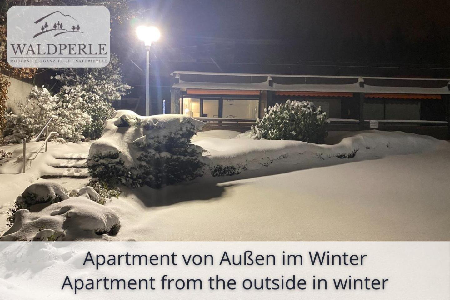 Exklusives 5-Sterne Apartment Waldperle Mit Indoor-Pool, Sauna, Top Lage Und Ausblick In Die Natur, Hunde Willkommen ショナッハ エクステリア 写真