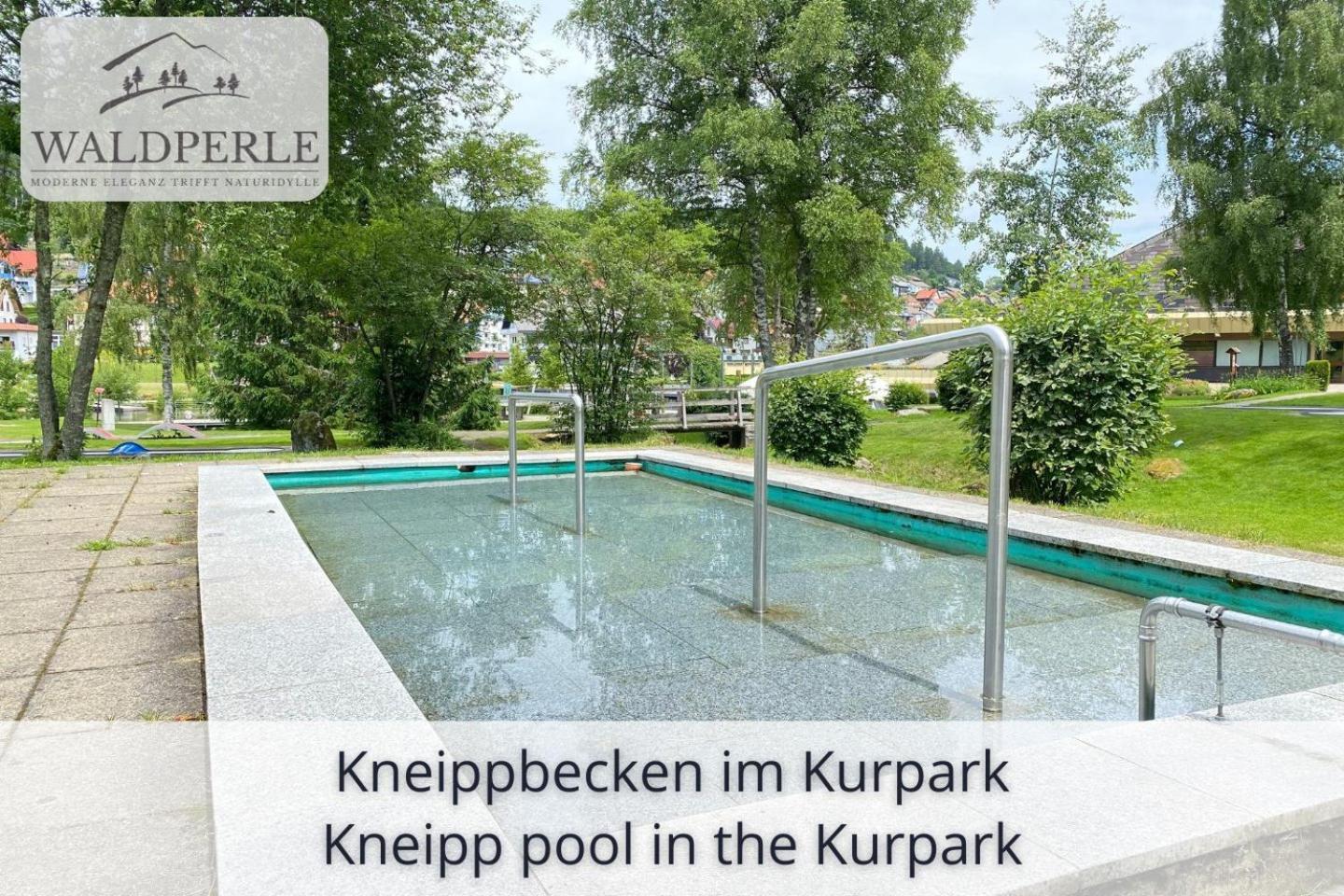 Exklusives 5-Sterne Apartment Waldperle Mit Indoor-Pool, Sauna, Top Lage Und Ausblick In Die Natur, Hunde Willkommen ショナッハ エクステリア 写真