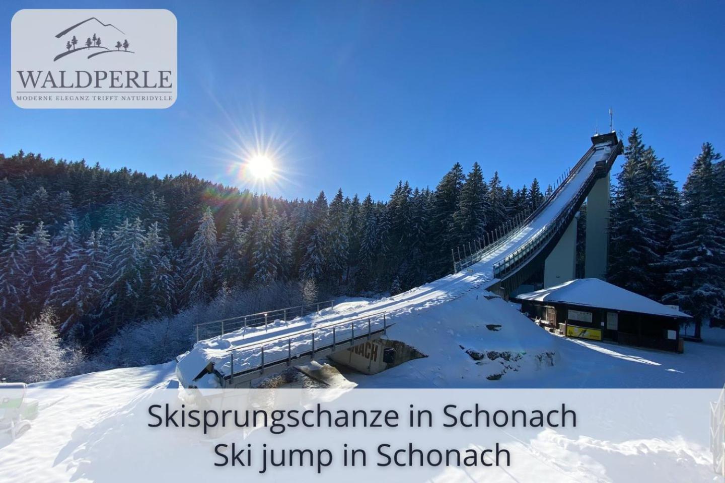Exklusives 5-Sterne Apartment Waldperle Mit Indoor-Pool, Sauna, Top Lage Und Ausblick In Die Natur, Hunde Willkommen ショナッハ エクステリア 写真