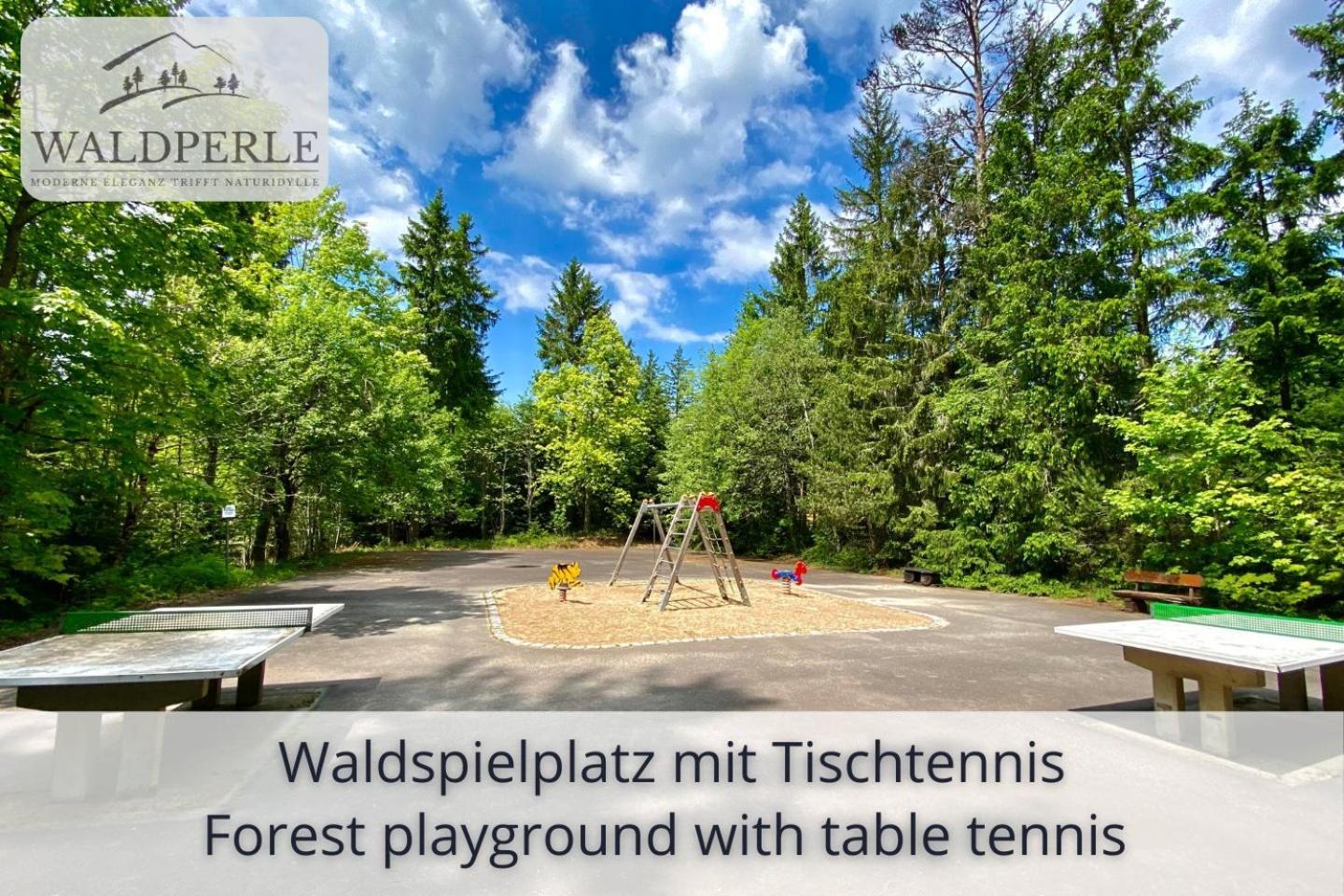 Exklusives 5-Sterne Apartment Waldperle Mit Indoor-Pool, Sauna, Top Lage Und Ausblick In Die Natur, Hunde Willkommen ショナッハ エクステリア 写真