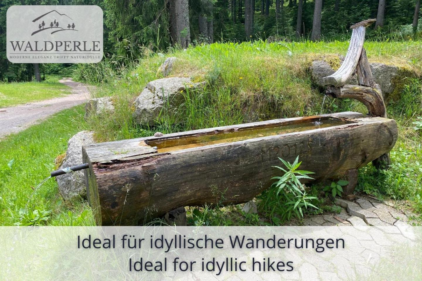 Exklusives 5-Sterne Apartment Waldperle Mit Indoor-Pool, Sauna, Top Lage Und Ausblick In Die Natur, Hunde Willkommen ショナッハ エクステリア 写真
