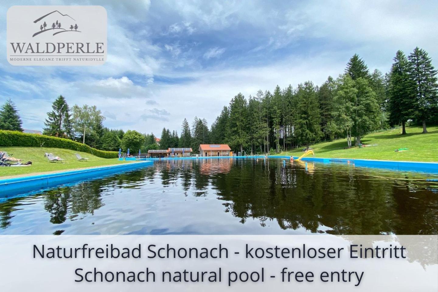 Exklusives 5-Sterne Apartment Waldperle Mit Indoor-Pool, Sauna, Top Lage Und Ausblick In Die Natur, Hunde Willkommen ショナッハ エクステリア 写真