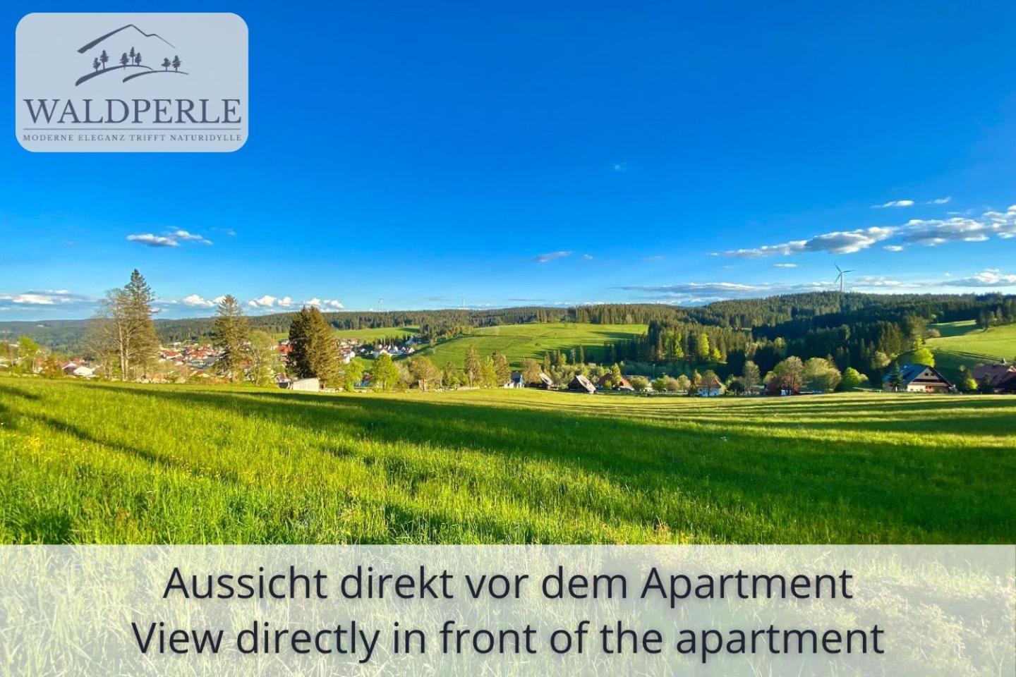 Exklusives 5-Sterne Apartment Waldperle Mit Indoor-Pool, Sauna, Top Lage Und Ausblick In Die Natur, Hunde Willkommen ショナッハ エクステリア 写真