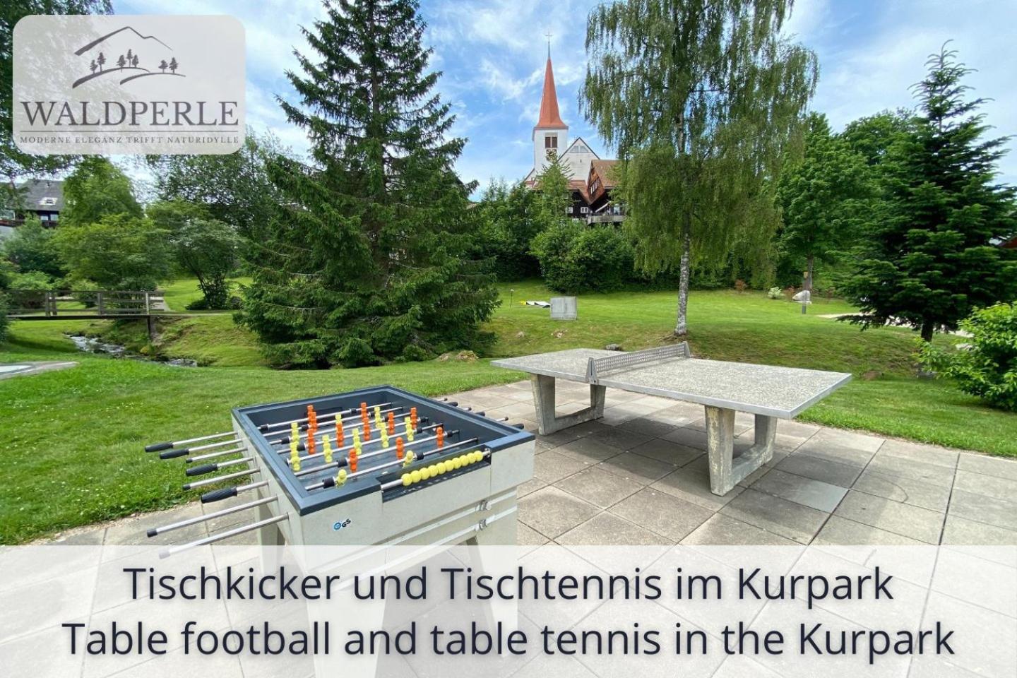 Exklusives 5-Sterne Apartment Waldperle Mit Indoor-Pool, Sauna, Top Lage Und Ausblick In Die Natur, Hunde Willkommen ショナッハ エクステリア 写真