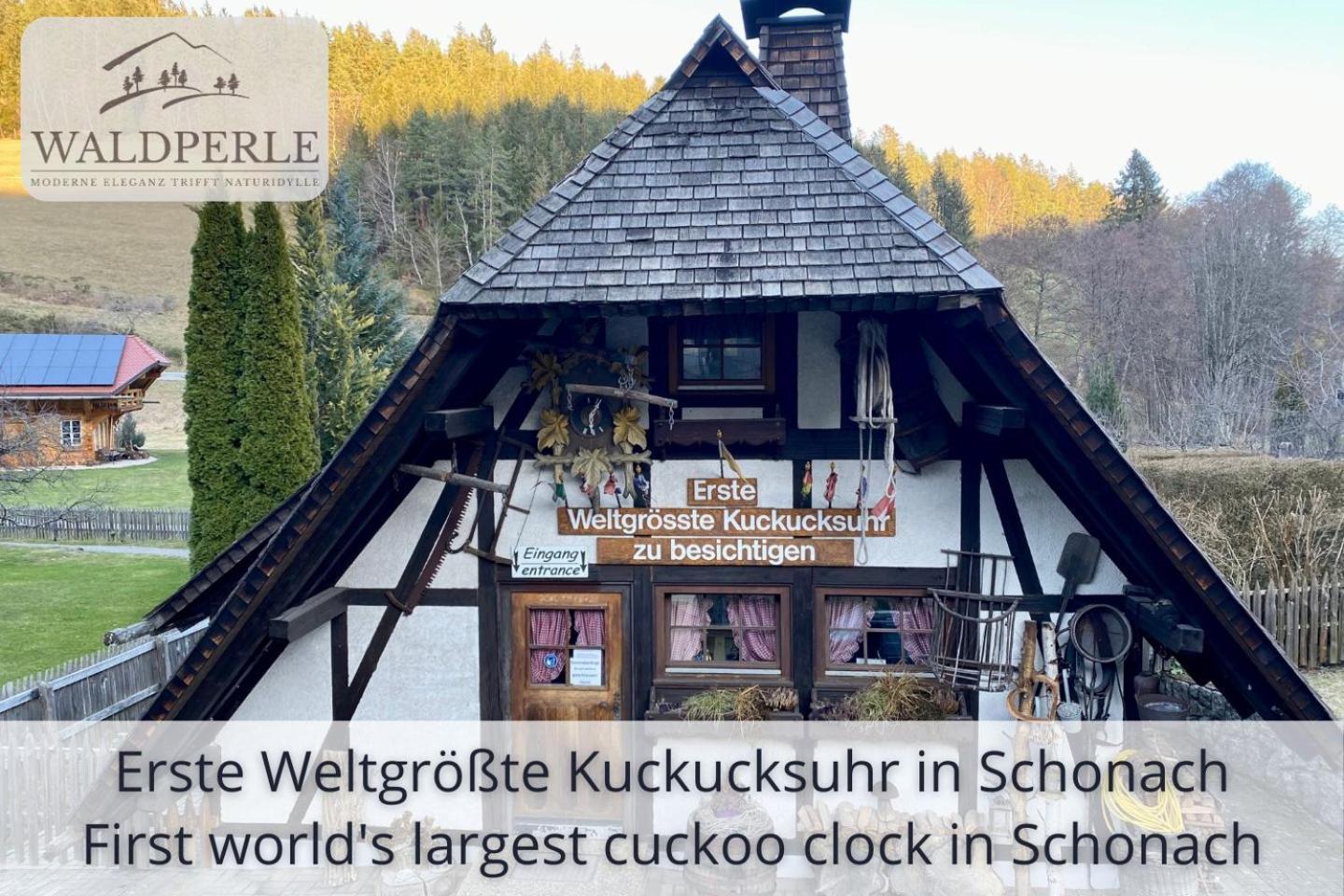 Exklusives 5-Sterne Apartment Waldperle Mit Indoor-Pool, Sauna, Top Lage Und Ausblick In Die Natur, Hunde Willkommen ショナッハ エクステリア 写真