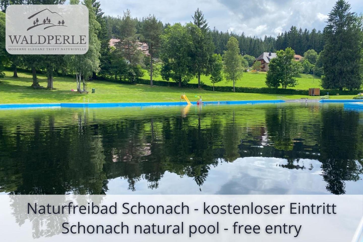 Exklusives 5-Sterne Apartment Waldperle Mit Indoor-Pool, Sauna, Top Lage Und Ausblick In Die Natur, Hunde Willkommen ショナッハ エクステリア 写真